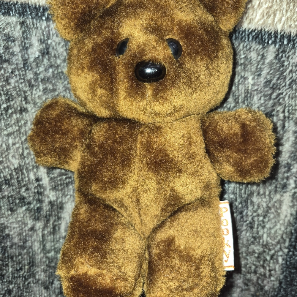 Vintage 1983 Pooky Bear.